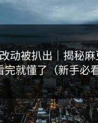 新版本改动被扒出｜揭秘麻豆短剧，看完就懂了（新手必看）
