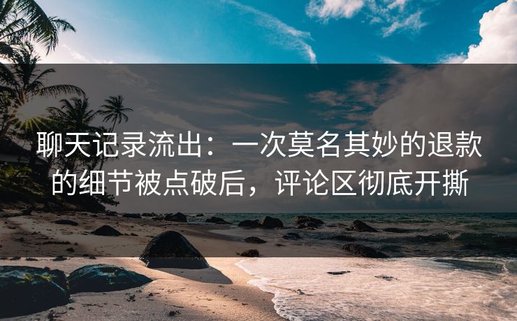 聊天记录流出：一次莫名其妙的退款的细节被点破后，评论区彻底开撕