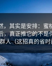 看似偶然，其实是安排：蜜桃影视爆火的背后，真正推它的不是你以为的那群人（这招真的省时间）
