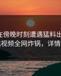 圈内人在傍晚时刻遭遇猛料出乎意料，樱桃视频全网炸锅，详情深扒