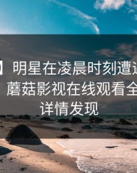 【独家】明星在凌晨时刻遭遇猛料 羞涩难挡，蘑菇影视在线观看全网炸锅，详情发现